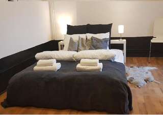 Гостевой дом Contemporary Apartment Бухарест Двухместный номер с 1 кроватью или 2 отдельными кроватями-1
