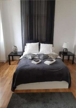 Гостевой дом Contemporary Apartment Бухарест Двухместный номер Делюкс с 1 кроватью-2